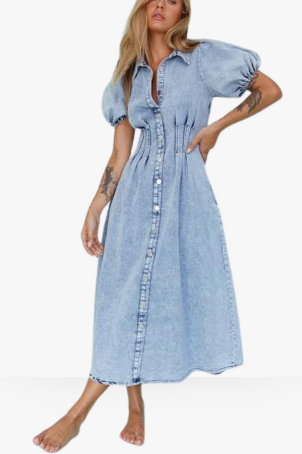 Solene denim dress