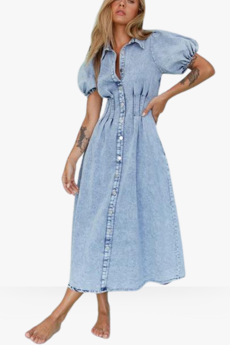Solene denim dress