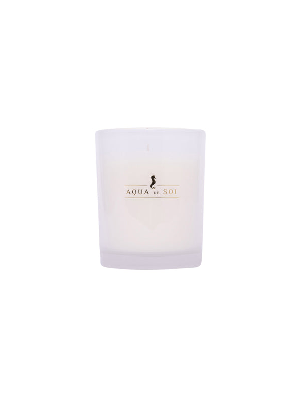 The SOi Co Champagne Lily Boxed Candle 9oz