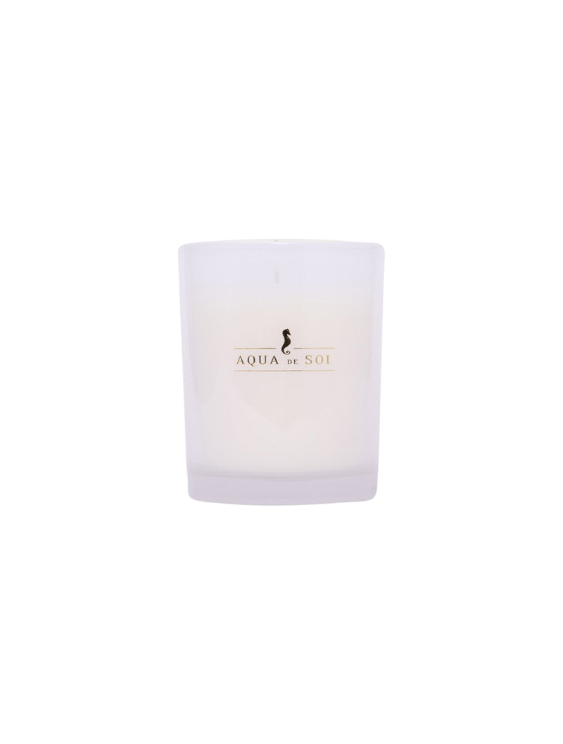 The SOi Co Champagne Lily Boxed Candle 9oz