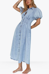 Solene denim dress
