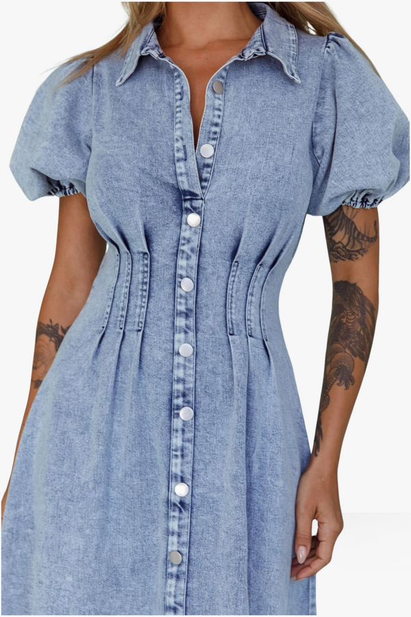 Solene denim dress